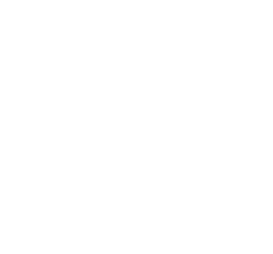 White Power lines Icon